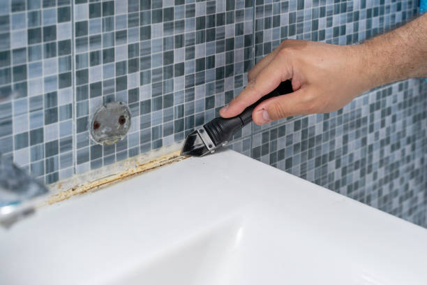 Best Mold Remediation for Schools in Augusta, KY